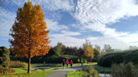 Zaterdags en zondags trainen in het Máximapark