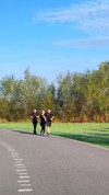 hardlooptraining in het Máximapark